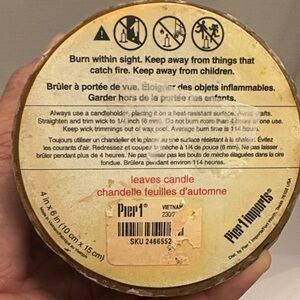 Pier 1 Leaves Candle - Brown and Cream